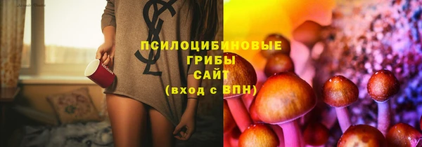 гашик Баксан