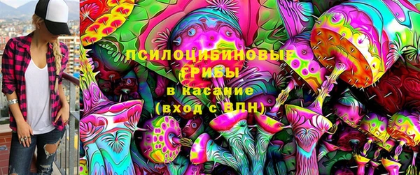 гашик Баксан