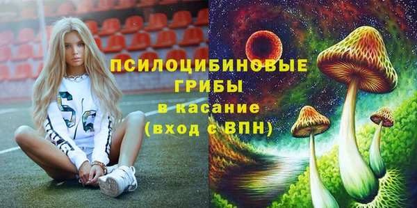 гашик Баксан