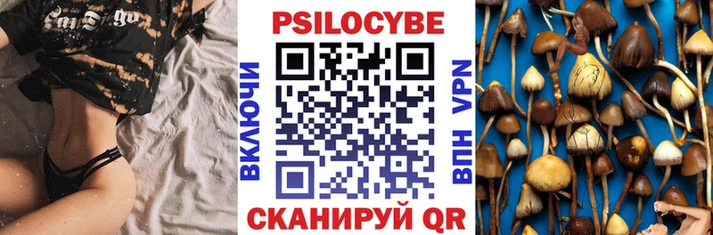 Псилоцибиновые грибы Psilocybe  Чистополь 